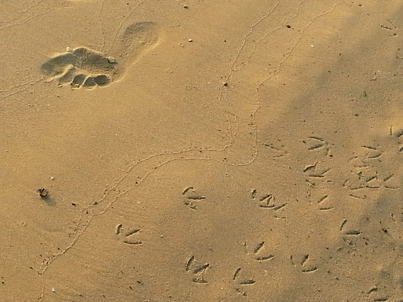 Impronte sulla spiaggia